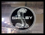 Importateur officiel Shelby-001